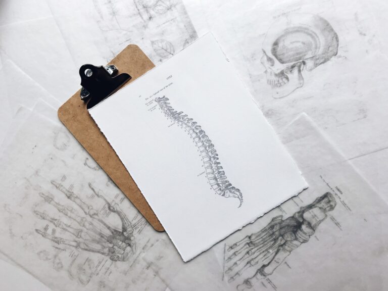 Medical clipboard displaying detailed spine anatomy illustration surrounded by skeletal anatomical drawings including skull and hand bones