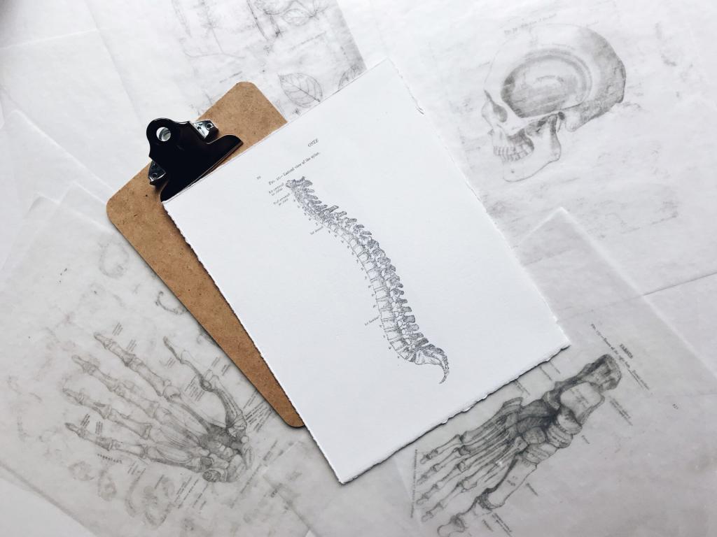 Scoliosis - Orthopaedics SA