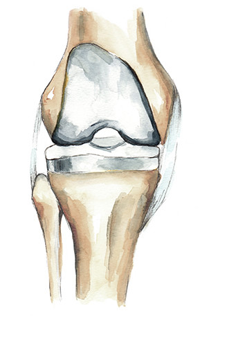Knee joint drawing hi-res stock photography and images - Alamy